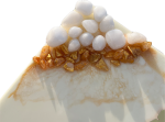 HDNPRN12 A PNG 5